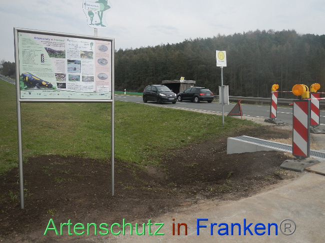 © Artenschutz in Franken® Bild zum Eintrag (1005384-160)