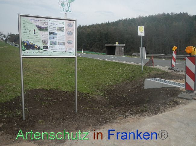 © Artenschutz in Franken® Bild zum Eintrag (1005386-160)
