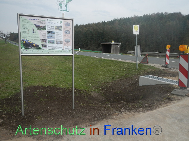 Bild zum Eintrag (1005386-160)