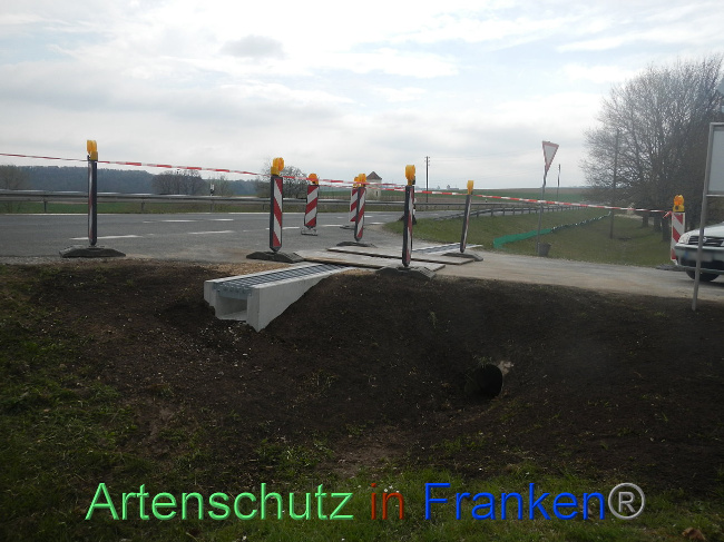 © Artenschutz in Franken® Bild zum Eintrag (1005388-160)