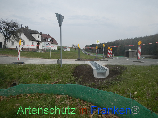 © Artenschutz in Franken® Bild zum Eintrag (1005389-160)