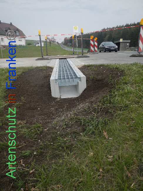 © Artenschutz in Franken® Bild zum Eintrag (1005390-160)