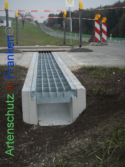 © Artenschutz in Franken® Bild zum Eintrag (1005391-160)