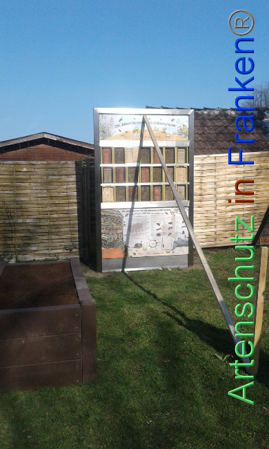 © Artenschutz in Franken® Bild zum Eintrag (1005404-160)