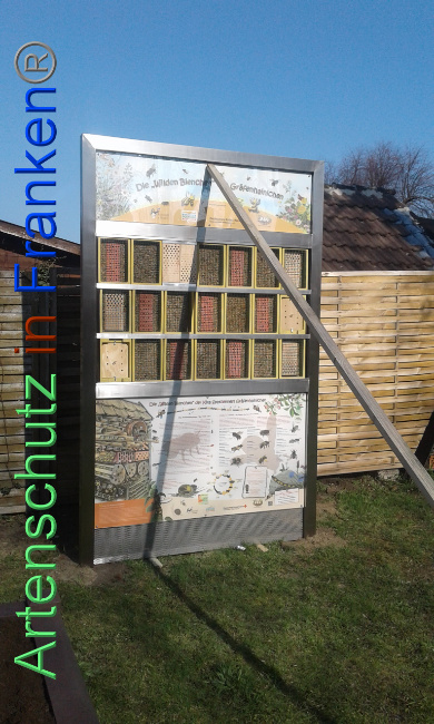 © Artenschutz in Franken® Bild zum Eintrag (1005405-160)
