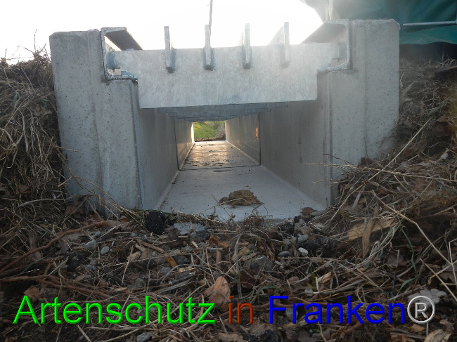 © Artenschutz in Franken® Bild zum Eintrag (1005540-160)