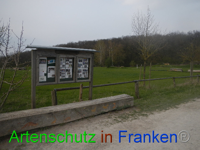 Bild zum Eintrag (1005643-160)