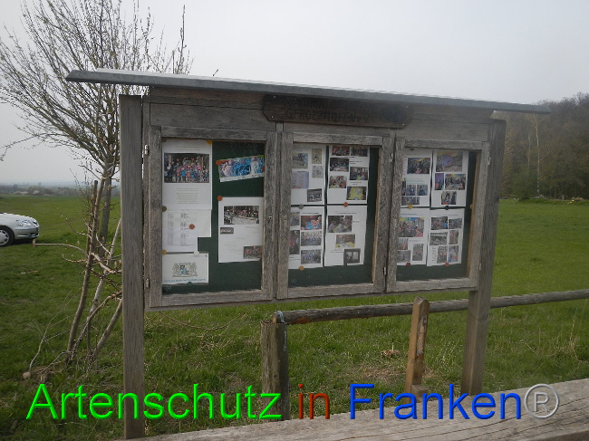 Bild zum Eintrag (1005644-160)