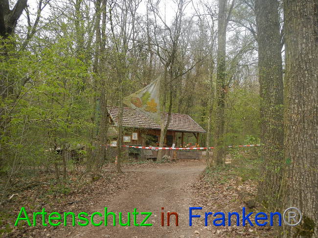 Bild zum Eintrag (1005646-160)