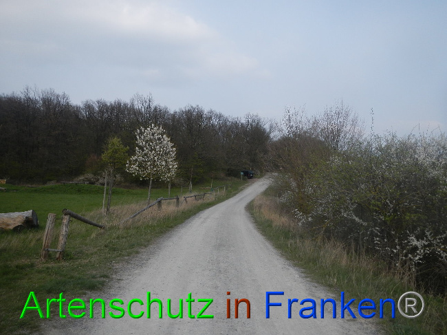 Bild zum Eintrag (1005648-160)