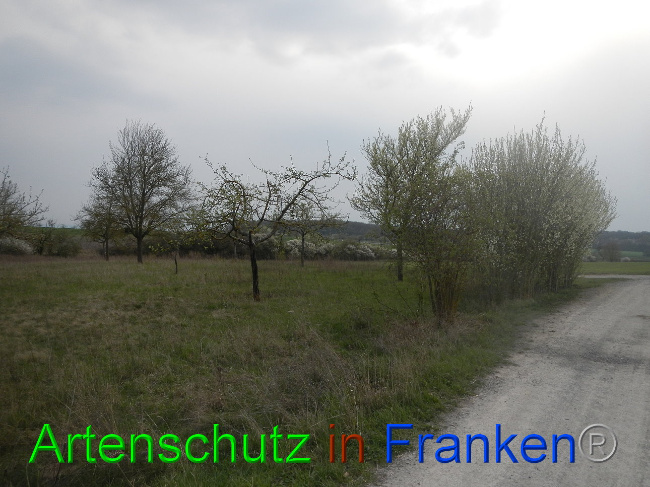 Bild zum Eintrag (1005649-160)