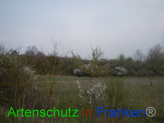 Bild zum Eintrag (1005650-160)