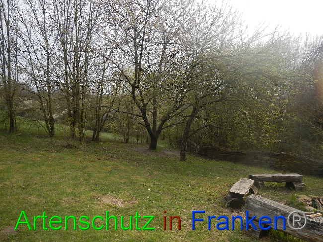 Bild zum Eintrag (1005651-160)