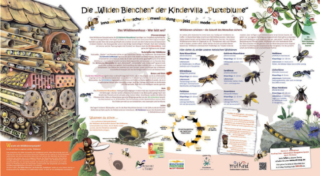 © Artenschutz in Franken® Bild zum Eintrag (1005721-160)