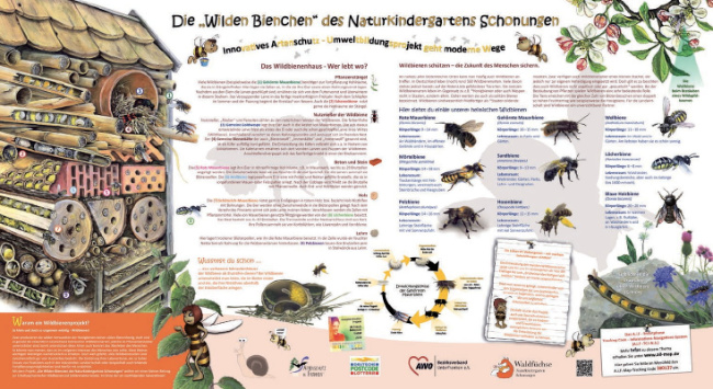 © Artenschutz in Franken® Bild zum Eintrag (1005729-160)