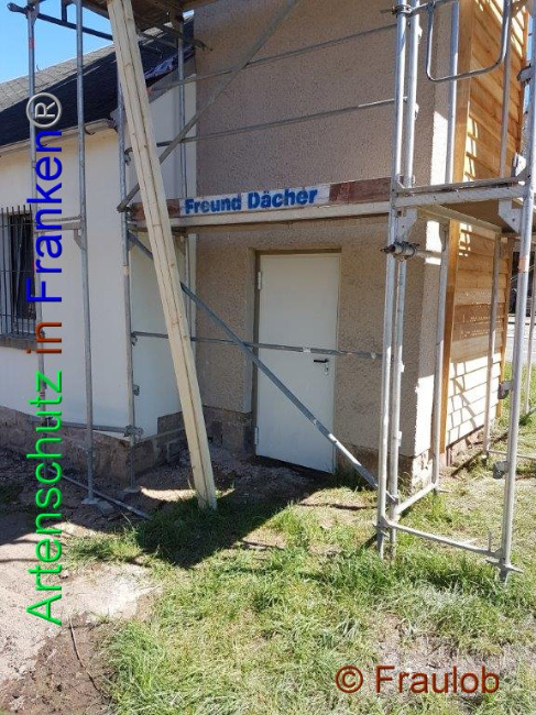 © Artenschutz in Franken® - Fraulob Bild zum Eintrag (1005868-160)