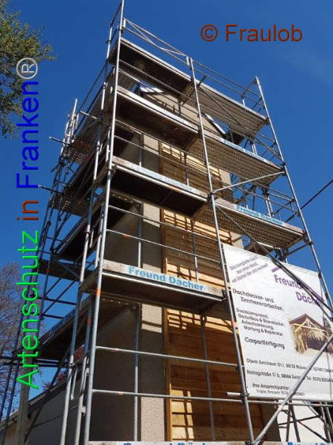 © Artenschutz in Franken® - Fraulob Bild zum Eintrag (1005870-160)