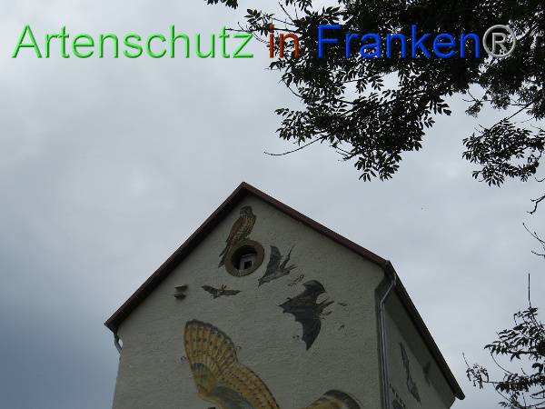 Bild zum Eintrag (100615-160)