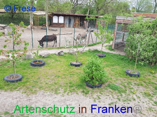Bild zum Eintrag (1006225-160)