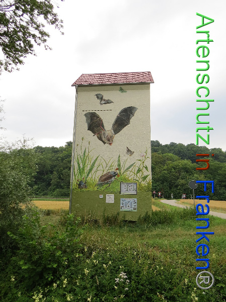 Bild zum Eintrag (100624-160)