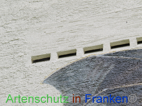 Bild zum Eintrag (100626-160)