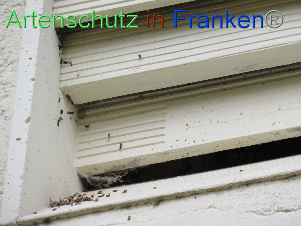 Bild zum Eintrag (100632-160)