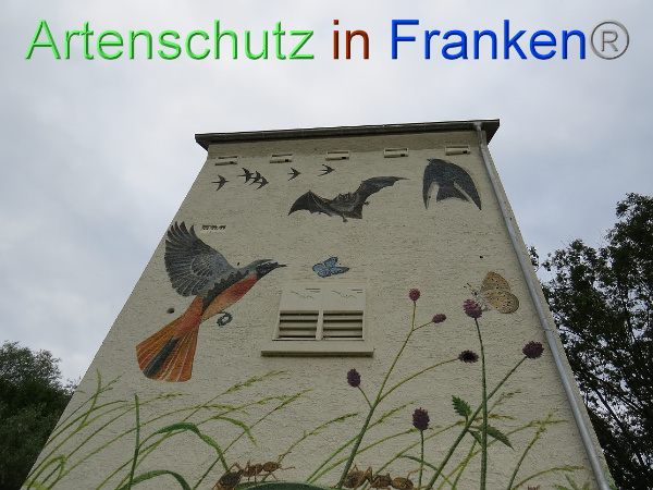 Bild zum Eintrag (100634-160)