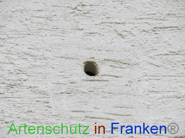 Bild zum Eintrag (100636-160)