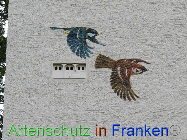 Bild zum Eintrag (100642-160)