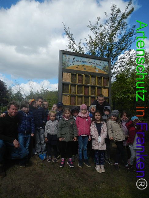 © Artenschutz in Franken® Bild zum Eintrag (1006480-160)