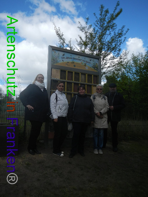 © Artenschutz in Franken® Bild zum Eintrag (1006483-160)
