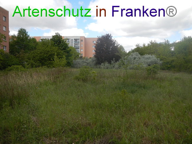 Bild zum Eintrag (1006490-160)