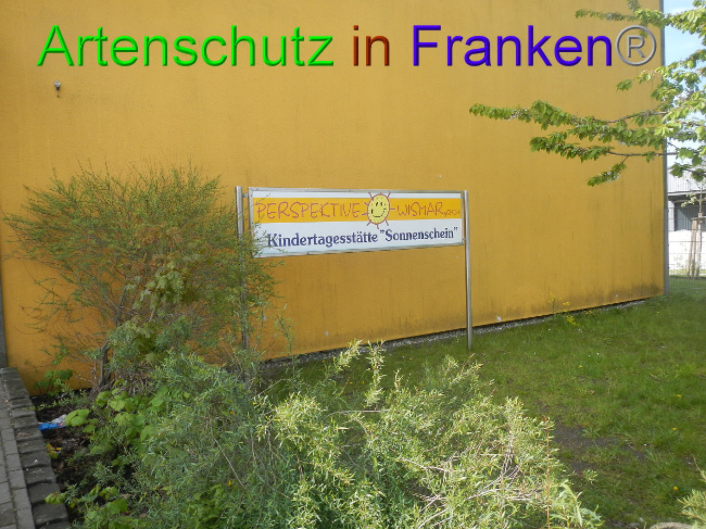 Bild zum Eintrag (1006528-160)