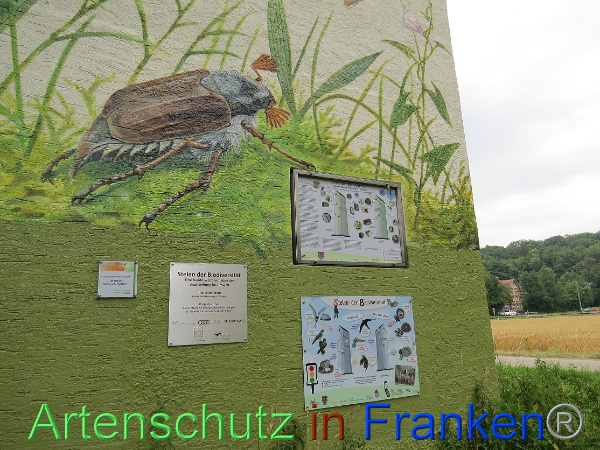 Bild zum Eintrag (100653-160)