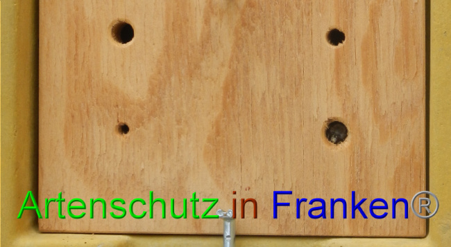 © Artenschutz in Franken® Bild zum Eintrag (1006559-160)