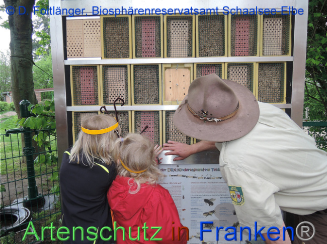 Bild zum Eintrag (1006596-160)