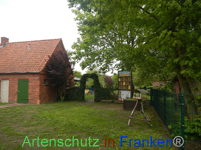 Bild zum Eintrag (1006601-160)