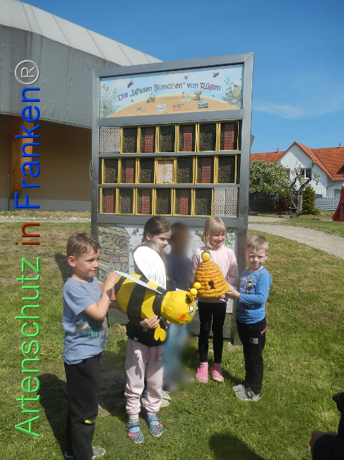 © Artenschutz in Franken® Bild zum Eintrag (1006655-160)