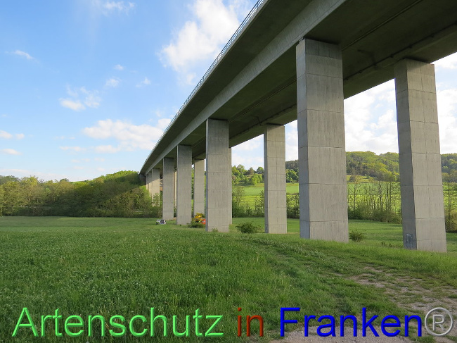 © Artenschutz in Franken® Bild zum Eintrag (1006700-160)