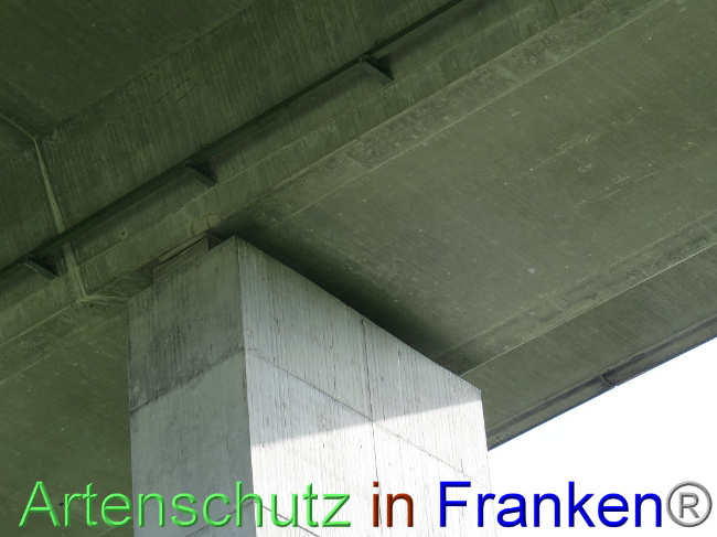 © Artenschutz in Franken® Bild zum Eintrag (1006704-160)