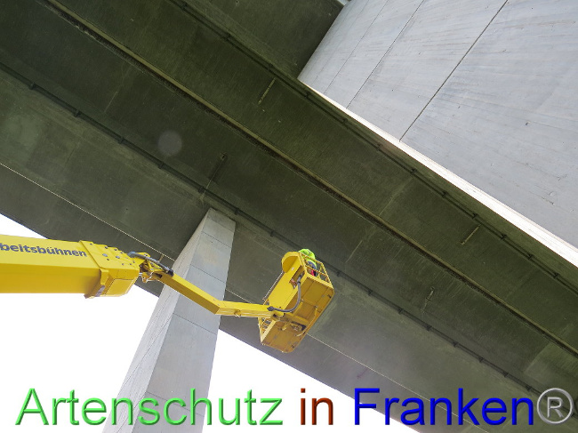© Artenschutz in Franken® Bild zum Eintrag (1006725-160)