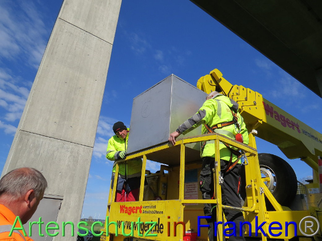 © Artenschutz in Franken® Bild zum Eintrag (1006741-160)