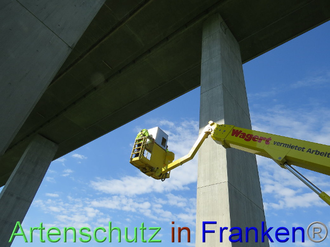 © Artenschutz in Franken® Bild zum Eintrag (1006743-160)