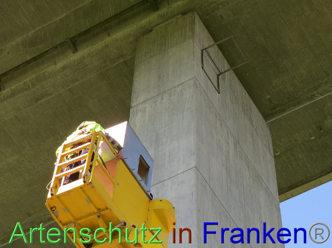© Artenschutz in Franken® Bild zum Eintrag (1006748-160)