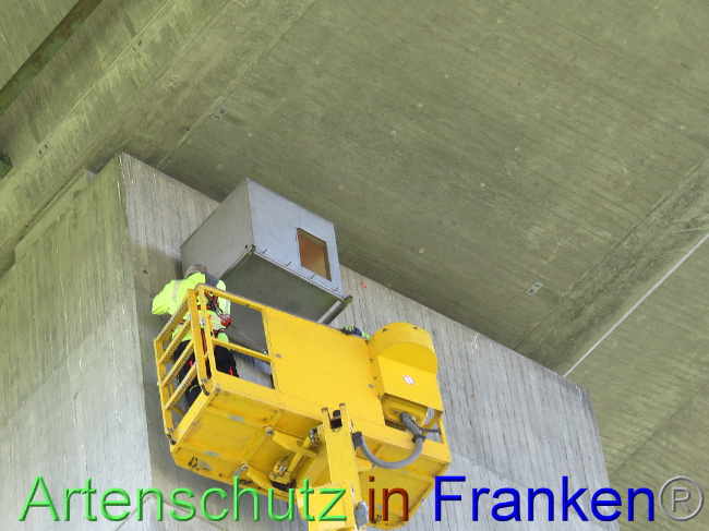 © Artenschutz in Franken® Bild zum Eintrag (1006750-160)