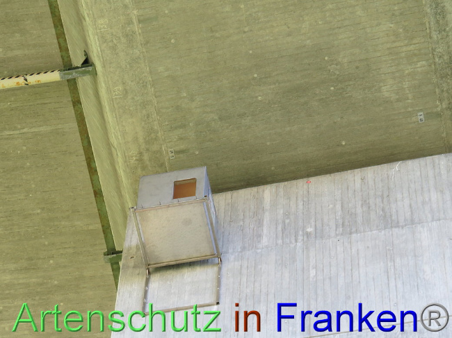 © Artenschutz in Franken® Bild zum Eintrag (1006752-160)