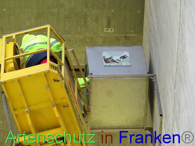 © Artenschutz in Franken® Bild zum Eintrag (1006760-160)
