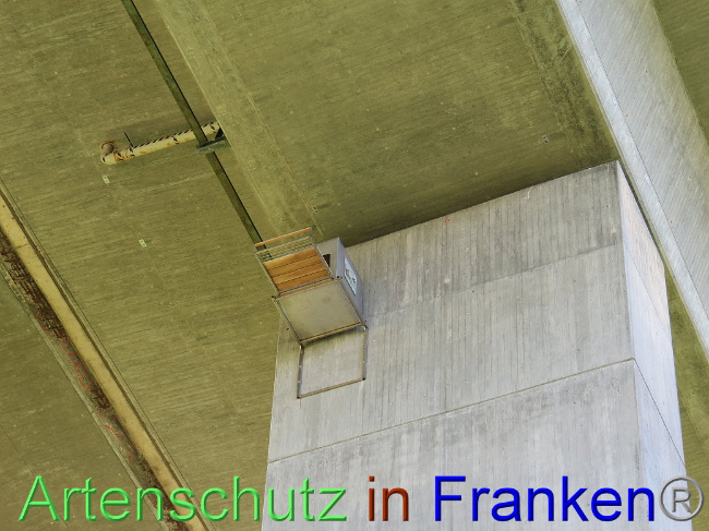 © Artenschutz in Franken® Bild zum Eintrag (1006774-160)