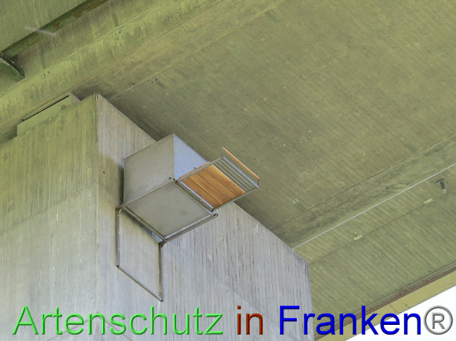 © Artenschutz in Franken® Bild zum Eintrag (1006775-160)