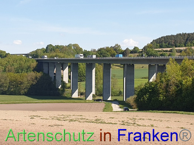 Bild zum Eintrag (1006780-160)